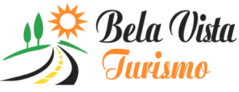 logo empresa bela vista vans